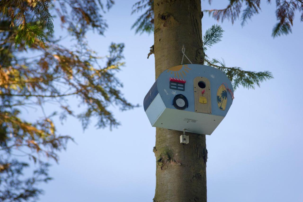Camping Het Vossenhol Ermelo Exterior foto